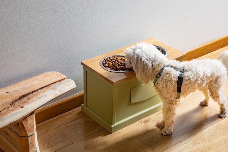 Bowls & feeders