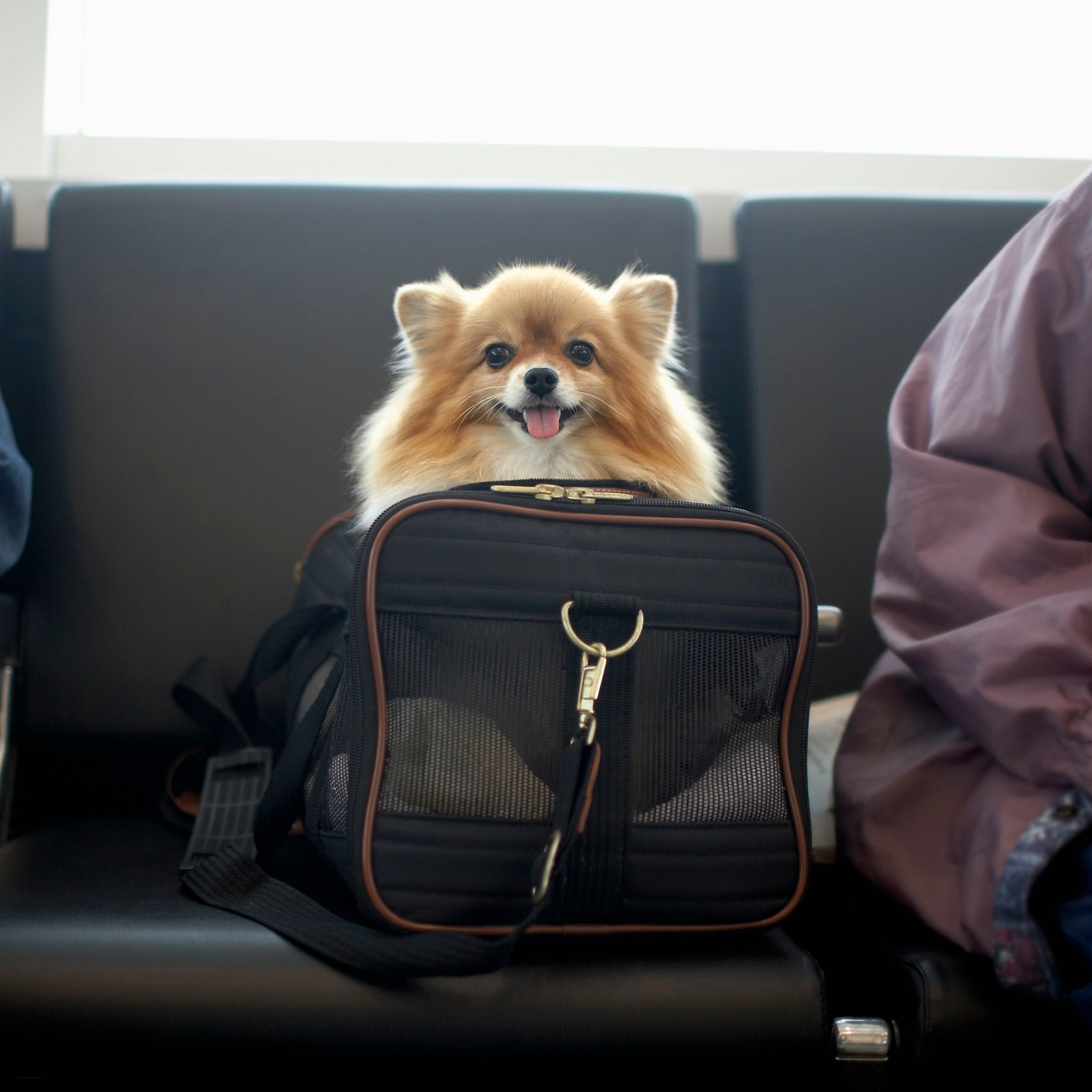Travel accessories