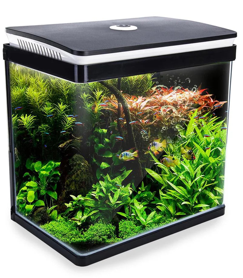 Aquarium Curved Glass RGB LED Fish Tank - affectionpets Fish-Heating & Lighting-UV Light & Filters