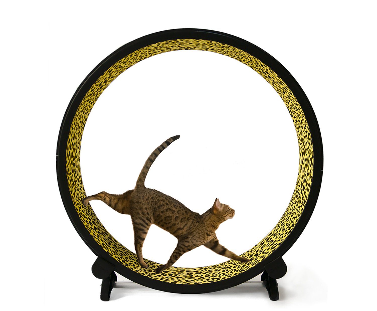 Cat Exercise Wheel - affectionpets Animaux et articles pour animaux de compagnie